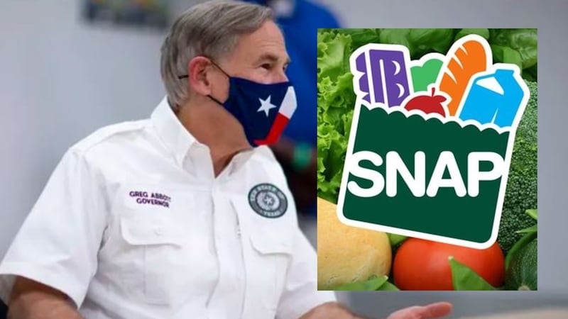 SNAP 2025 Benefits: Maximum Amounts and How to Apply Step by Step to Receive Food Stamps