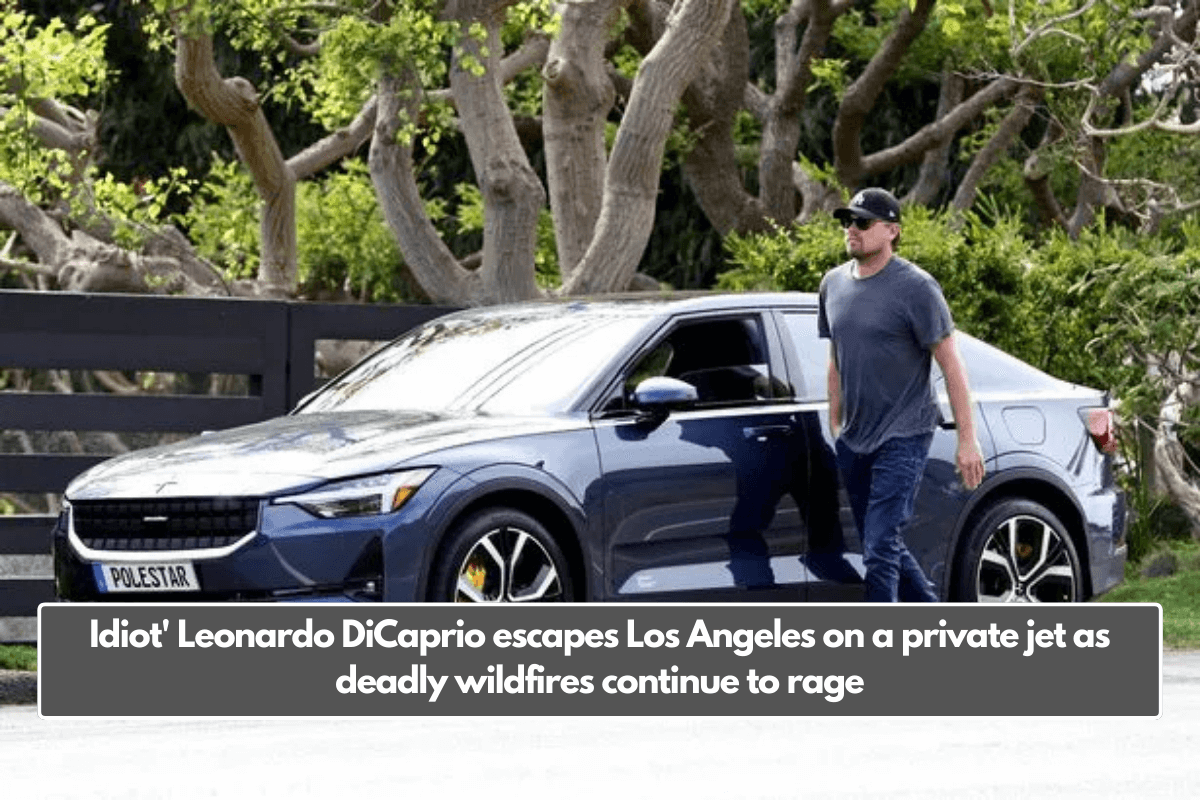 Idiot' Leonardo DiCaprio escapes Los Angeles on a private jet as deadly wildfires continue to rage