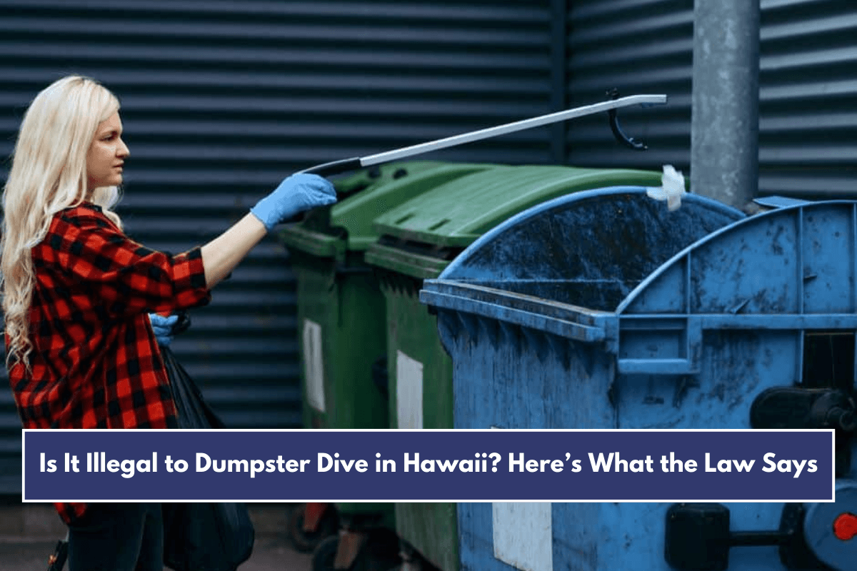Is It Illegal to Dumpster Dive in Hawaii Here’s What the Law Says