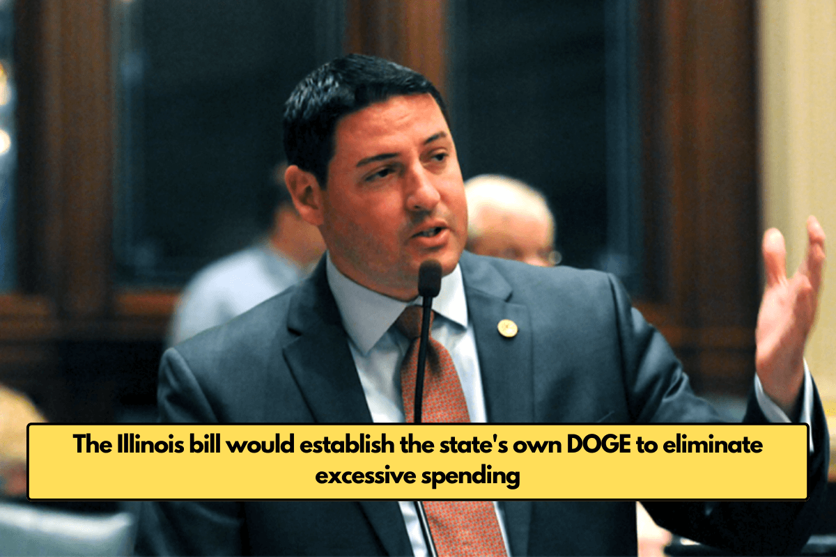 The Illinois bill would establish the state's own DOGE to eliminate excessive spending