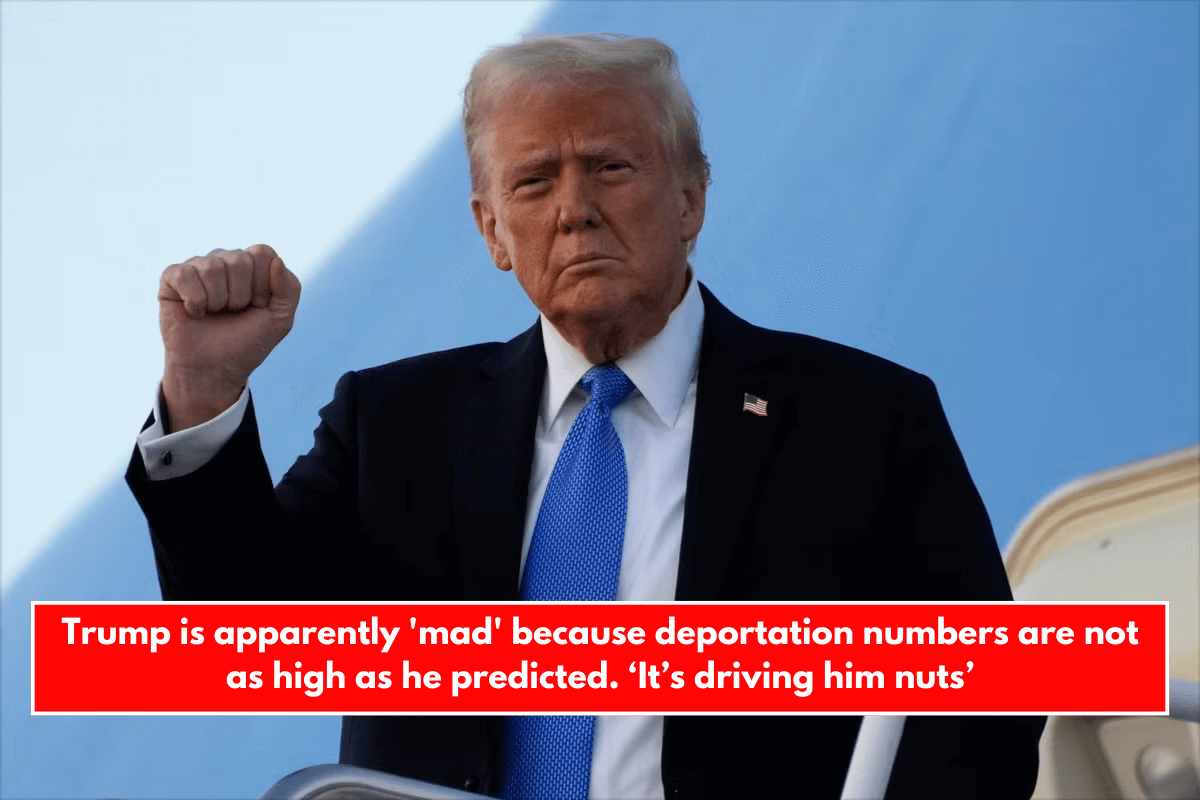 Trump is apparently 'mad' because deportation numbers are not as high as he predicted. ‘It’s driving him nuts’